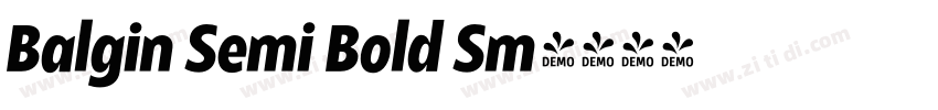 Balgin Semi Bold Sm字体转换